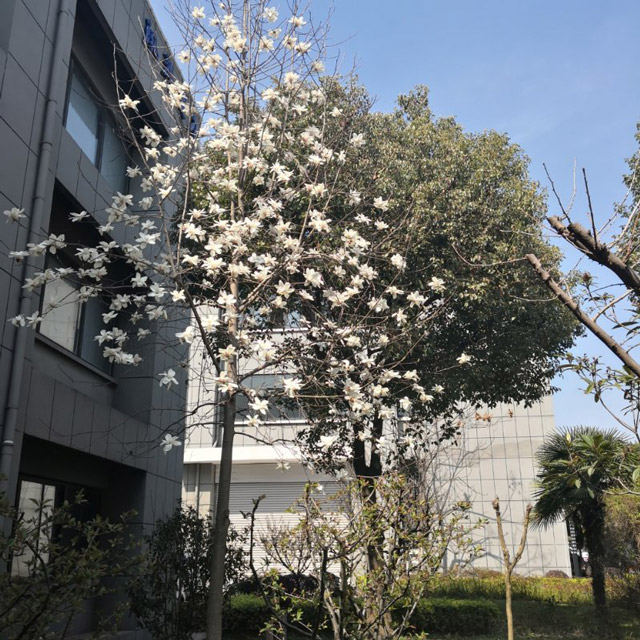 廠區環境